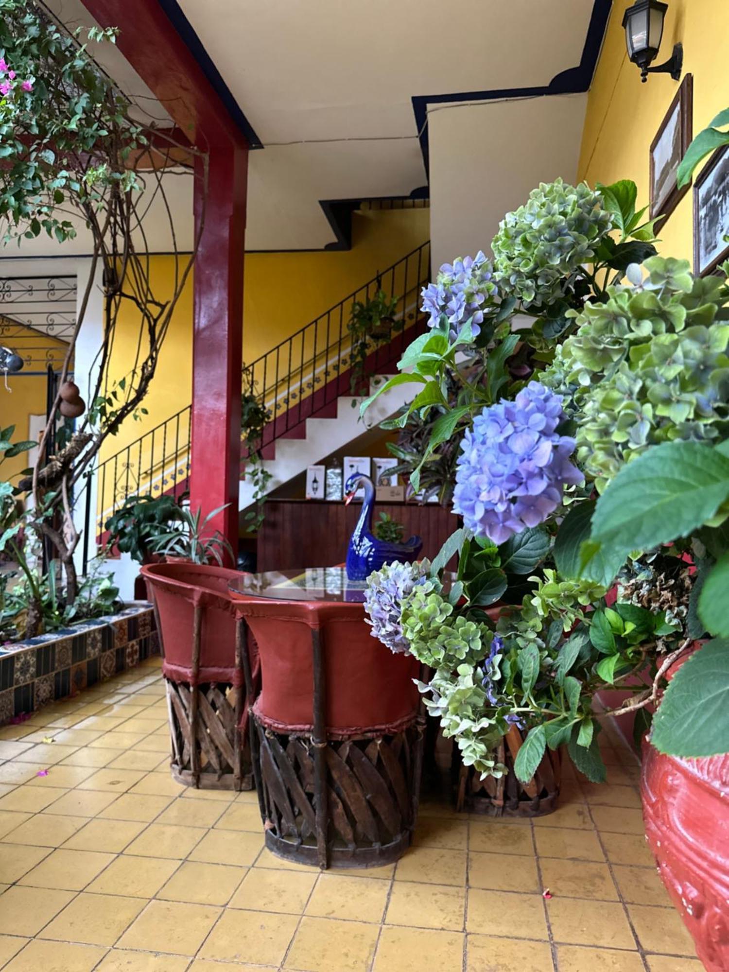 Copa De Oro Hotel Boutique Mascota Exterior foto