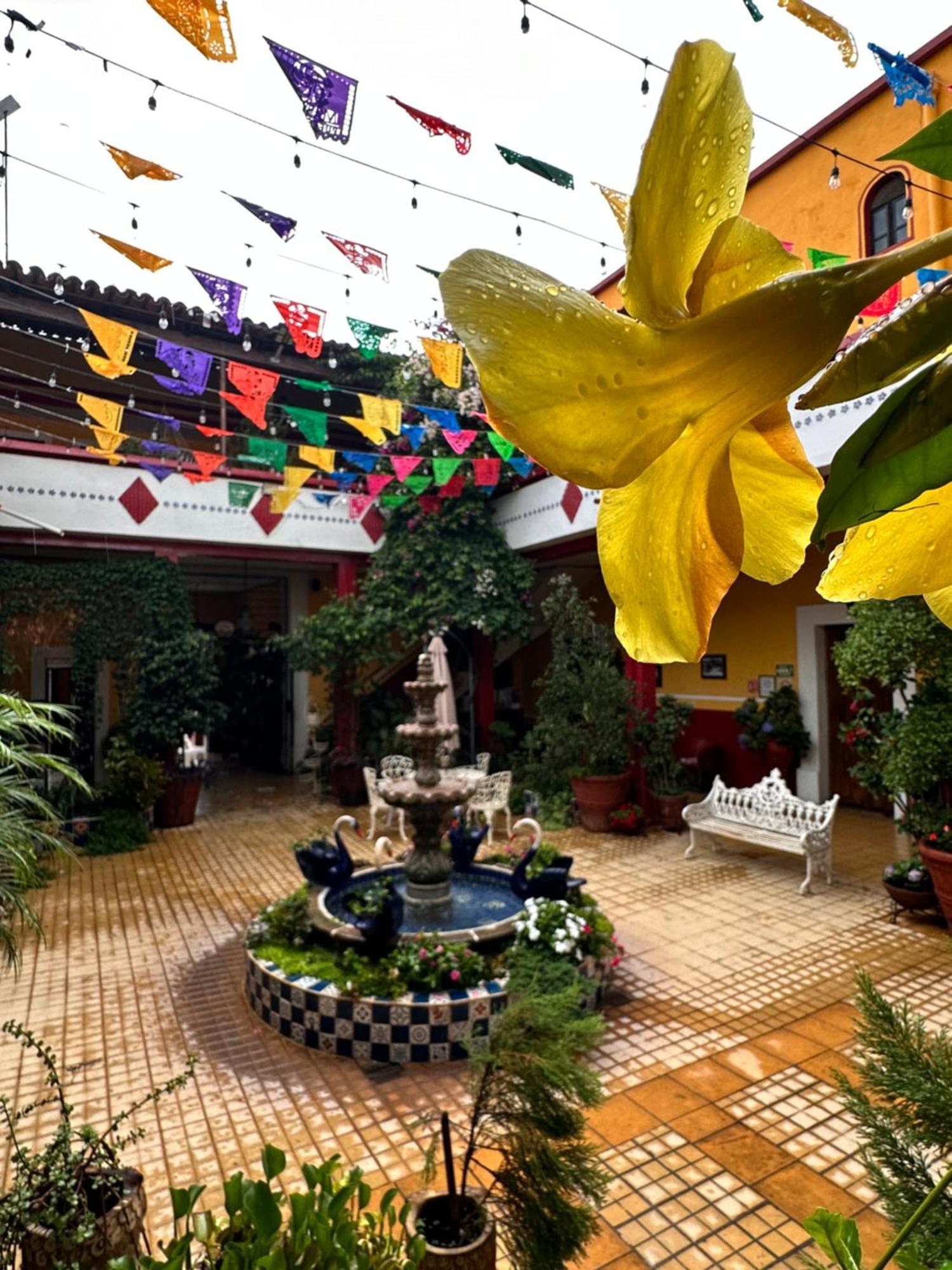 Copa De Oro Hotel Boutique Mascota Exterior foto